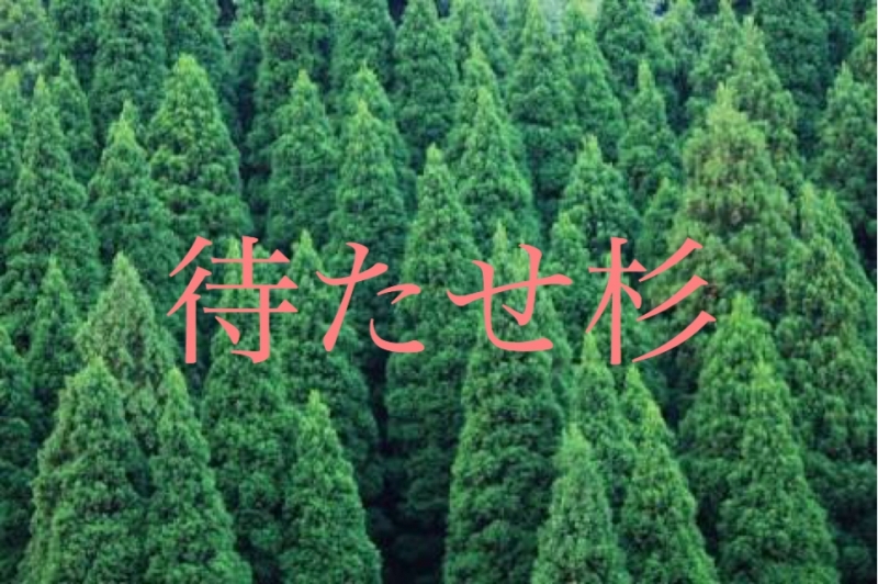 【美容院で予約したのに待たされる】苛立ちと不思議。