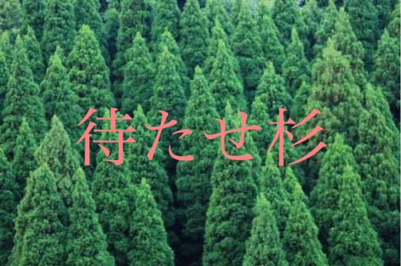 【美容院で予約したのに待たされる】苛立ちと不思議。